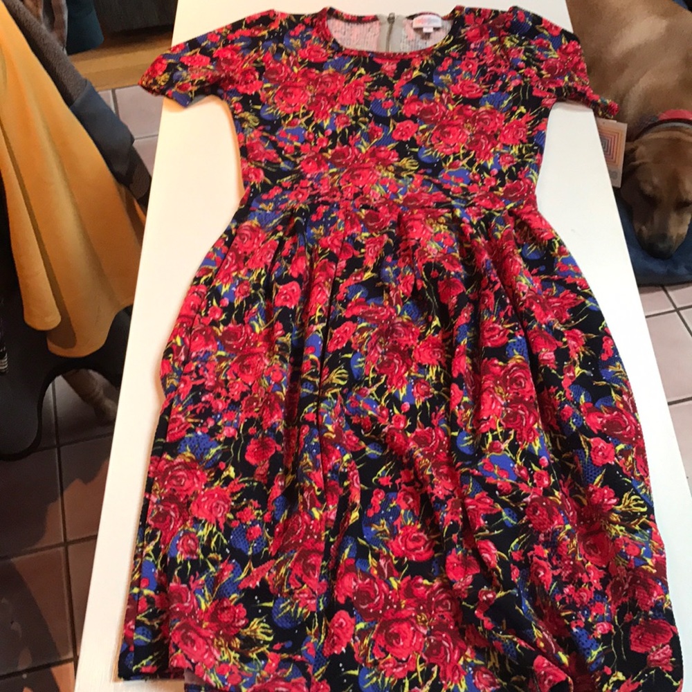 Amelia dress lularoe small